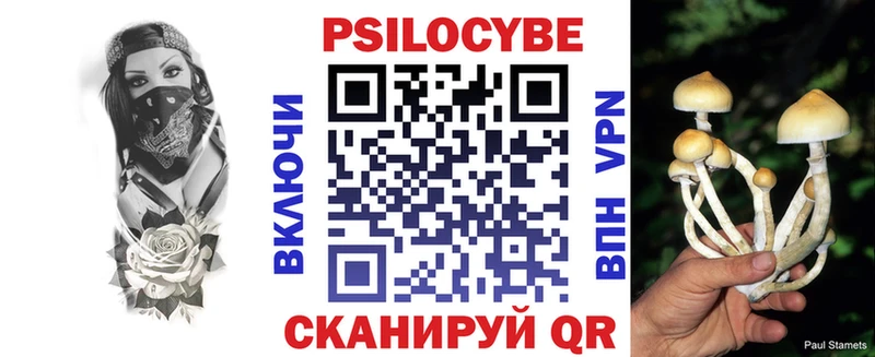 Псилоцибиновые грибы MAGIC MUSHROOMS  Купить где  Новоржев 